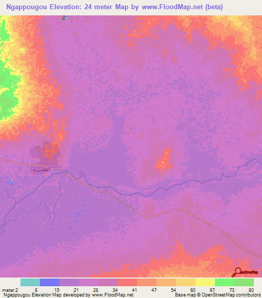 Ngappougou,Mauritania Elevation Map