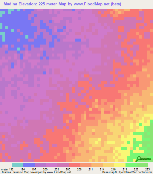 Madina,Mauritania Elevation Map