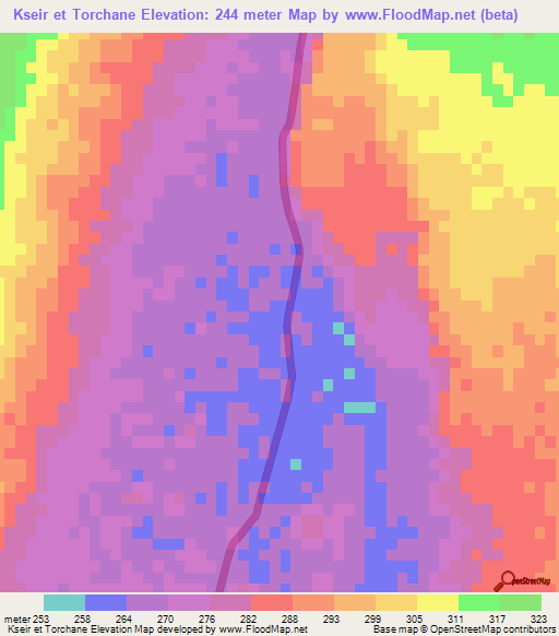 Kseir et Torchane,Mauritania Elevation Map