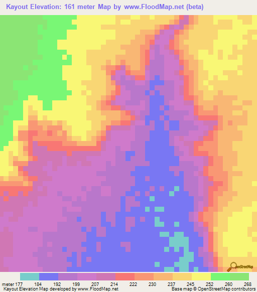 Kayout,Mauritania Elevation Map