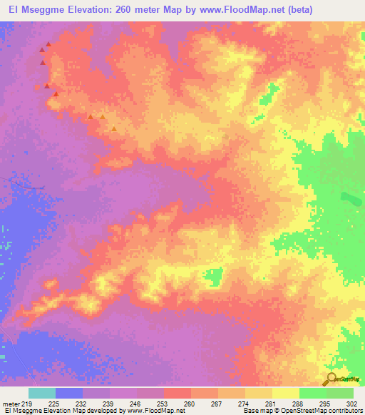 El Mseggme,Mauritania Elevation Map