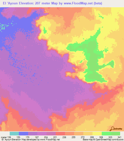 El 'Ayoun,Mauritania Elevation Map