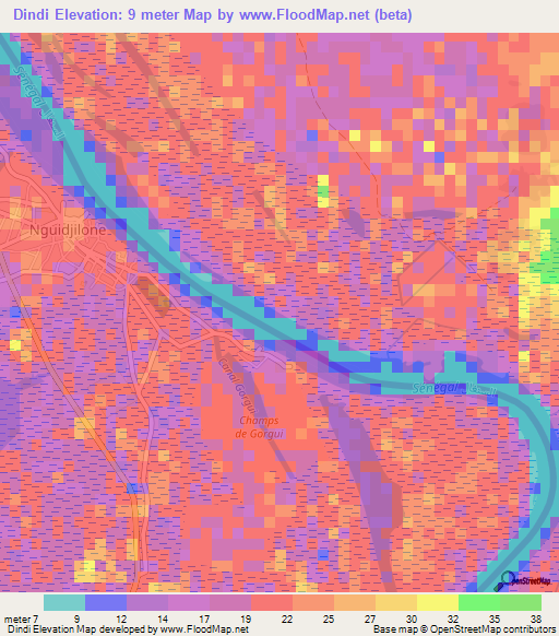 Dindi,Mauritania Elevation Map