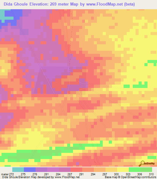 Dida Ghoule,Mauritania Elevation Map