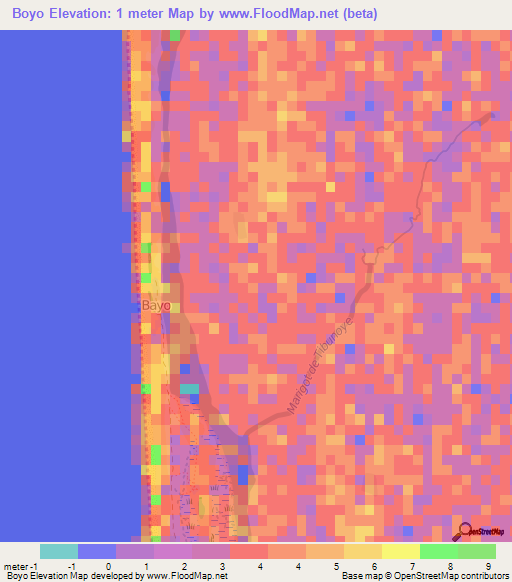 Boyo,Mauritania Elevation Map