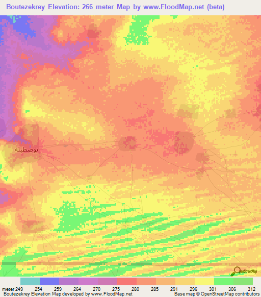 Boutezekrey,Mauritania Elevation Map