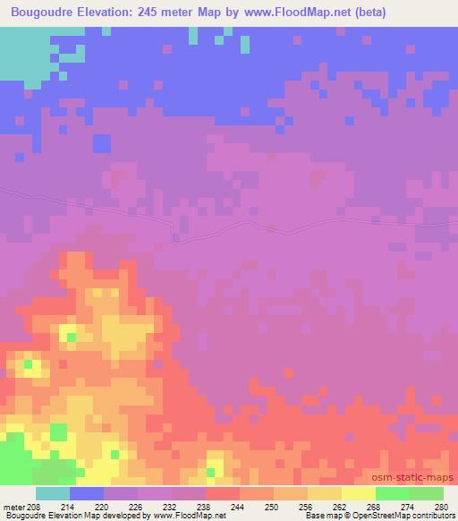 Bougoudre,Mauritania Elevation Map
