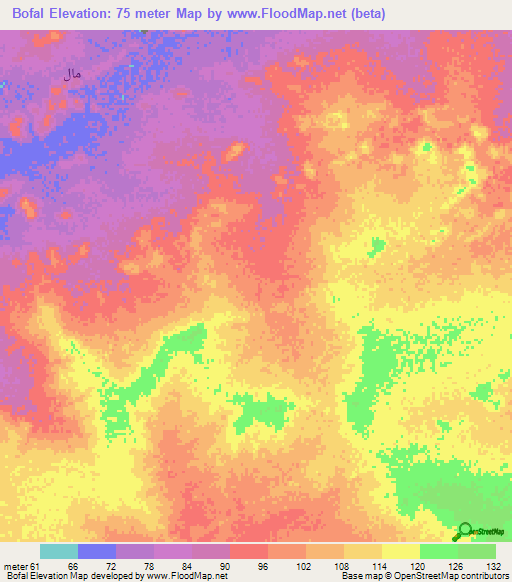 Bofal,Mauritania Elevation Map