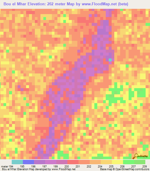 Bou el Mhar,Mauritania Elevation Map