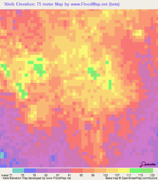 'Aleib,Mauritania Elevation Map