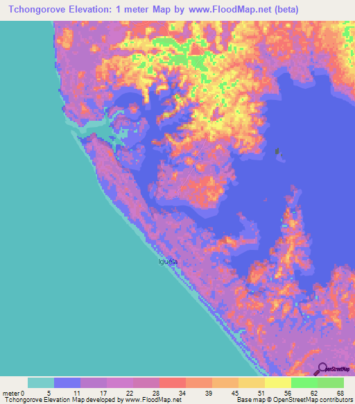 Tchongorove,Gabon Elevation Map