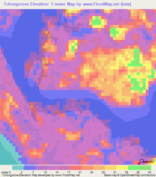 Tchongorove,Gabon Elevation Map