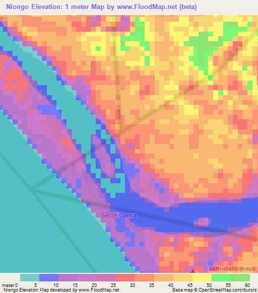 Niongo,Gabon Elevation Map