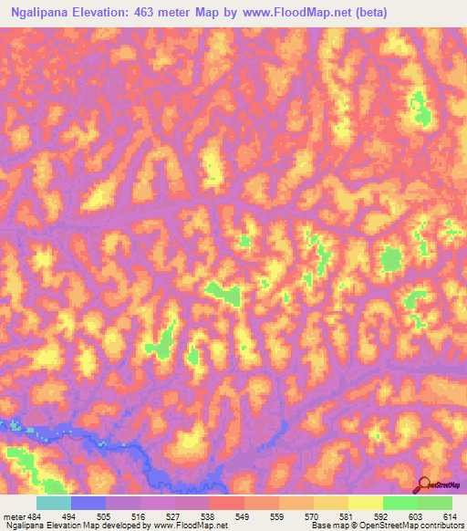 Ngalipana,Gabon Elevation Map
