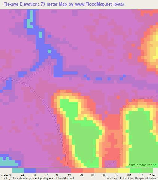 Tiekeye,Guinea Elevation Map