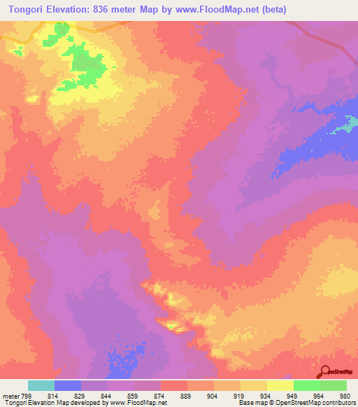 Tongori,Chad Elevation Map