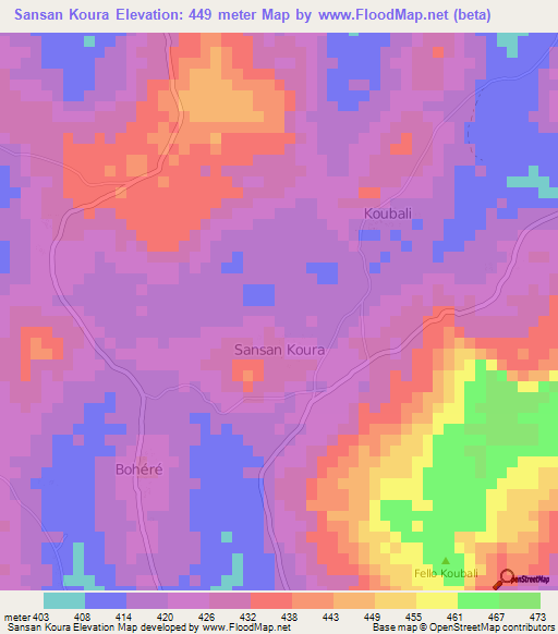 Sansan Koura,Guinea Elevation Map