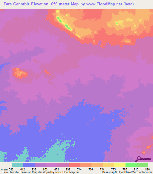 Tara Ganmbir,Chad Elevation Map