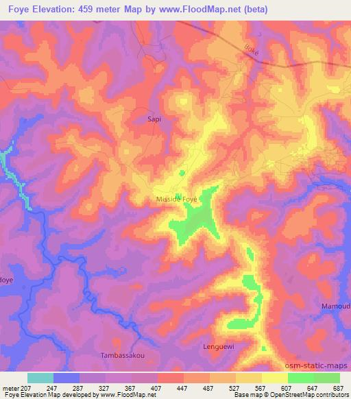 Foye,Guinea Elevation Map