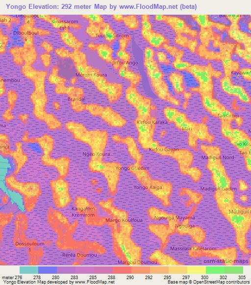 Yongo,Chad Elevation Map