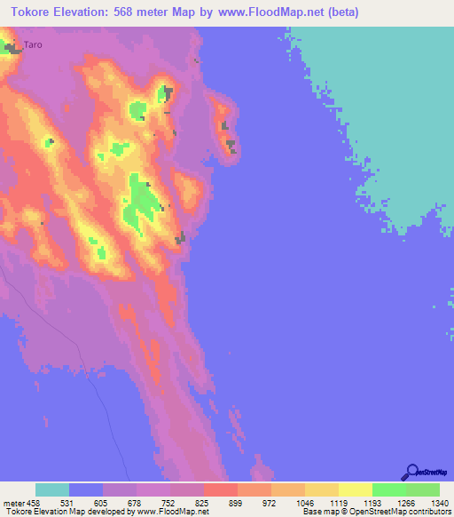 Tokore,Chad Elevation Map