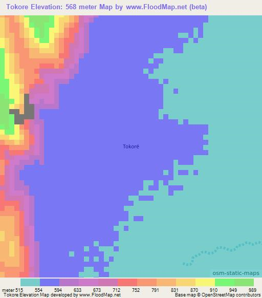 Tokore,Chad Elevation Map