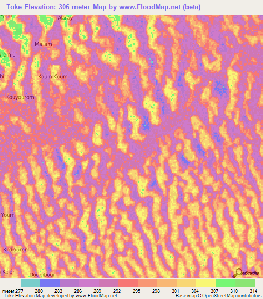 Toke,Chad Elevation Map
