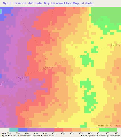 Nya II,Chad Elevation Map