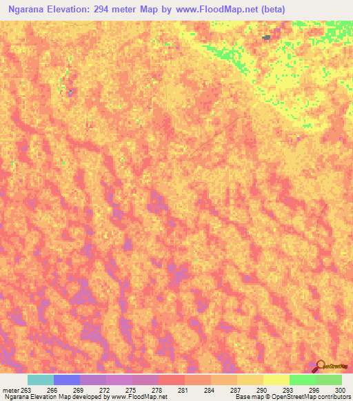 Ngarana,Chad Elevation Map