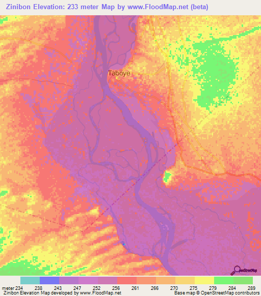 Zinibon,Mali Elevation Map