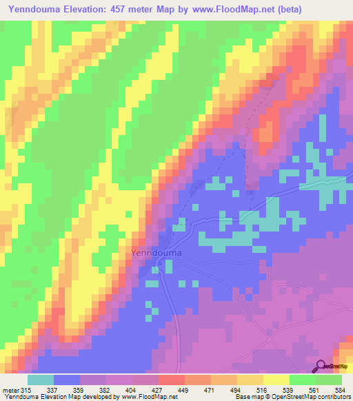 Yenndouma,Mali Elevation Map