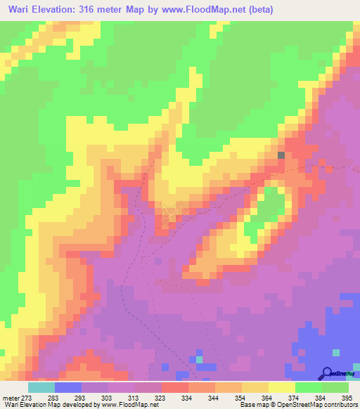 Wari,Mali Elevation Map