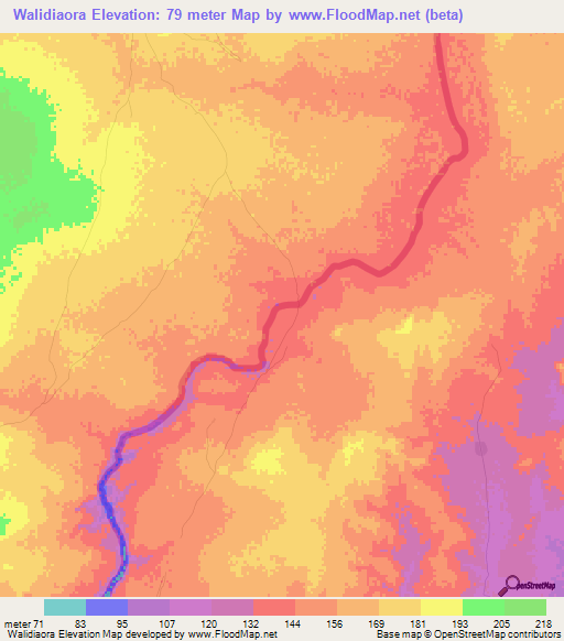 Walidiaora,Mali Elevation Map