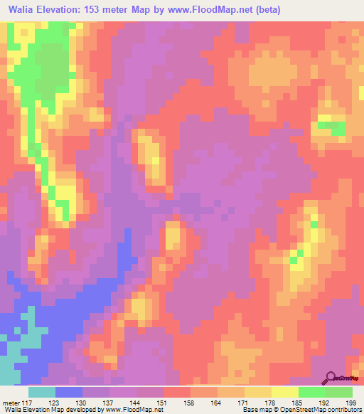 Walia,Mali Elevation Map