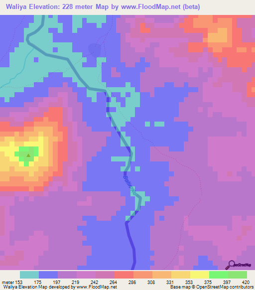 Waliya,Mali Elevation Map