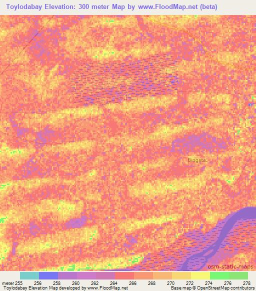 Toylodabay,Mali Elevation Map