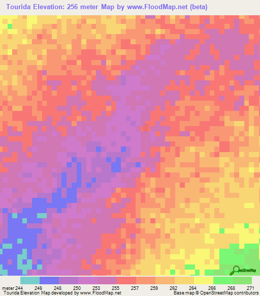 Tourida,Mali Elevation Map