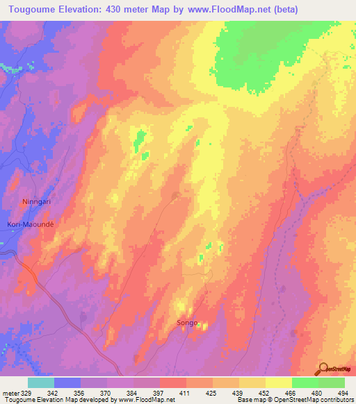 Tougoume,Mali Elevation Map