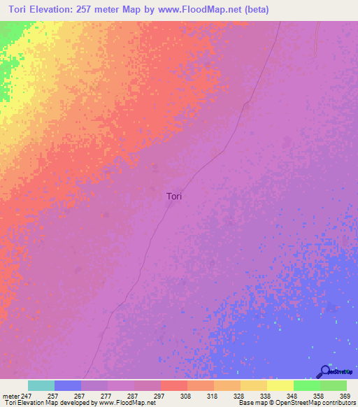 Tori,Mali Elevation Map