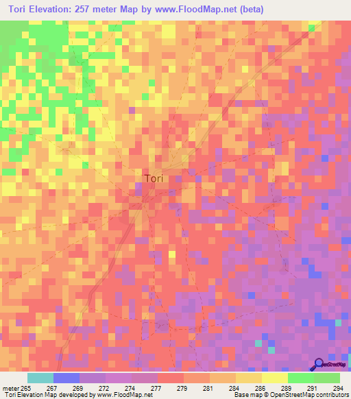 Tori,Mali Elevation Map