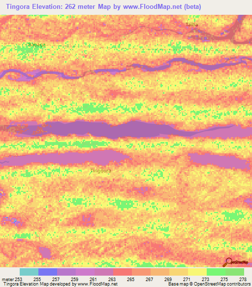 Tingora,Mali Elevation Map