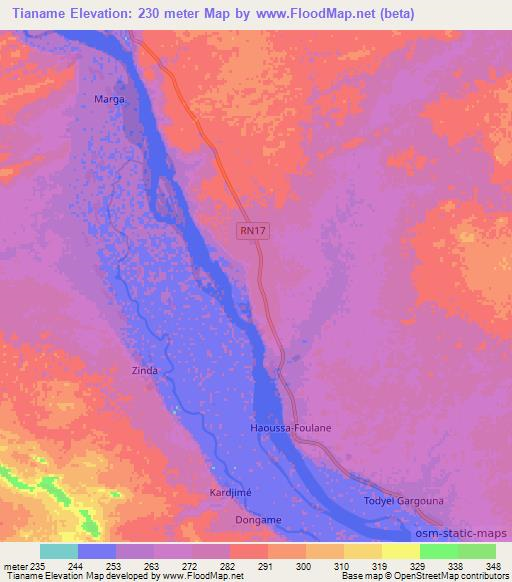 Tianame,Mali Elevation Map