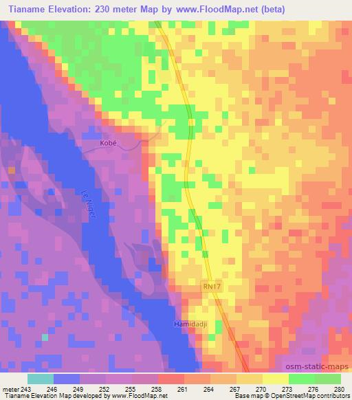 Tianame,Mali Elevation Map