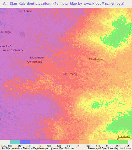 Am Djan Kaferdout,Chad Elevation Map