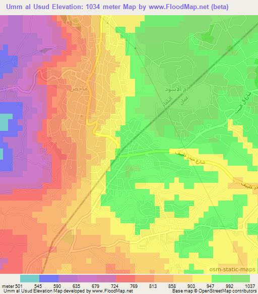 Umm al Usud,Jordan Elevation Map