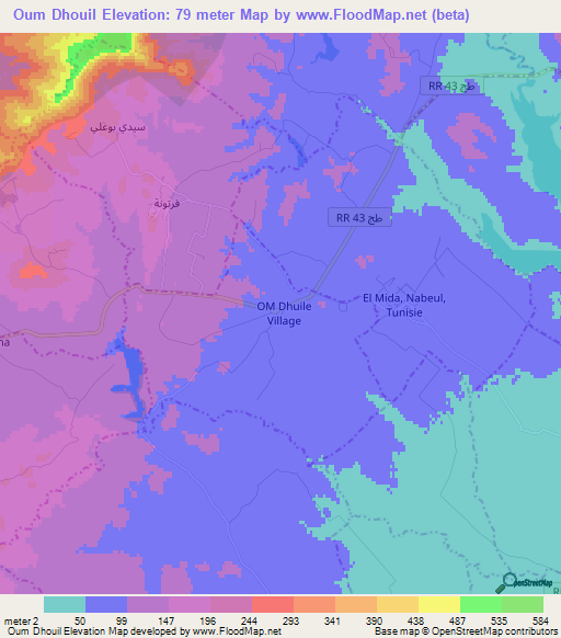 Oum Dhouil,Tunisia Elevation Map