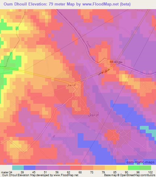 Oum Dhouil,Tunisia Elevation Map