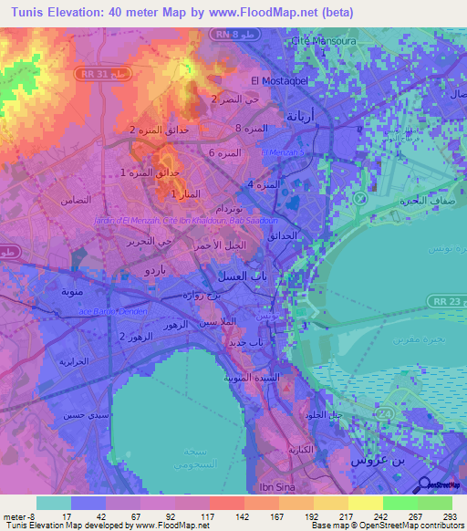 Tunis,Tunisia Elevation Map