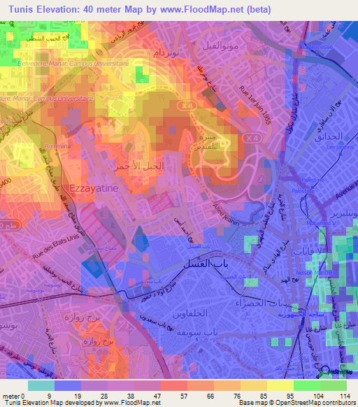 Tunis,Tunisia Elevation Map