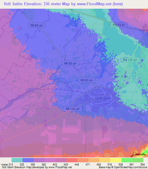 Sidi Salim,Tunisia Elevation Map